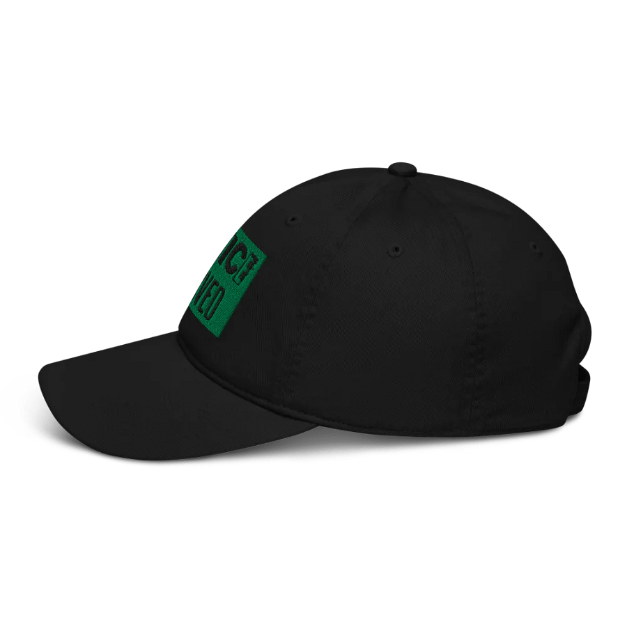 Justice Served Hat product image (3)