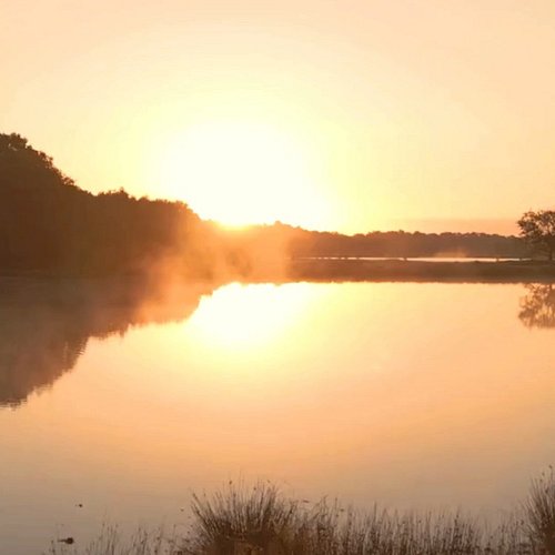 I’ve tried it all — dropshipping, faceless YouTube, KDP, you name it.

Now I’m going all in on something real.

🍽️ Support Mo...