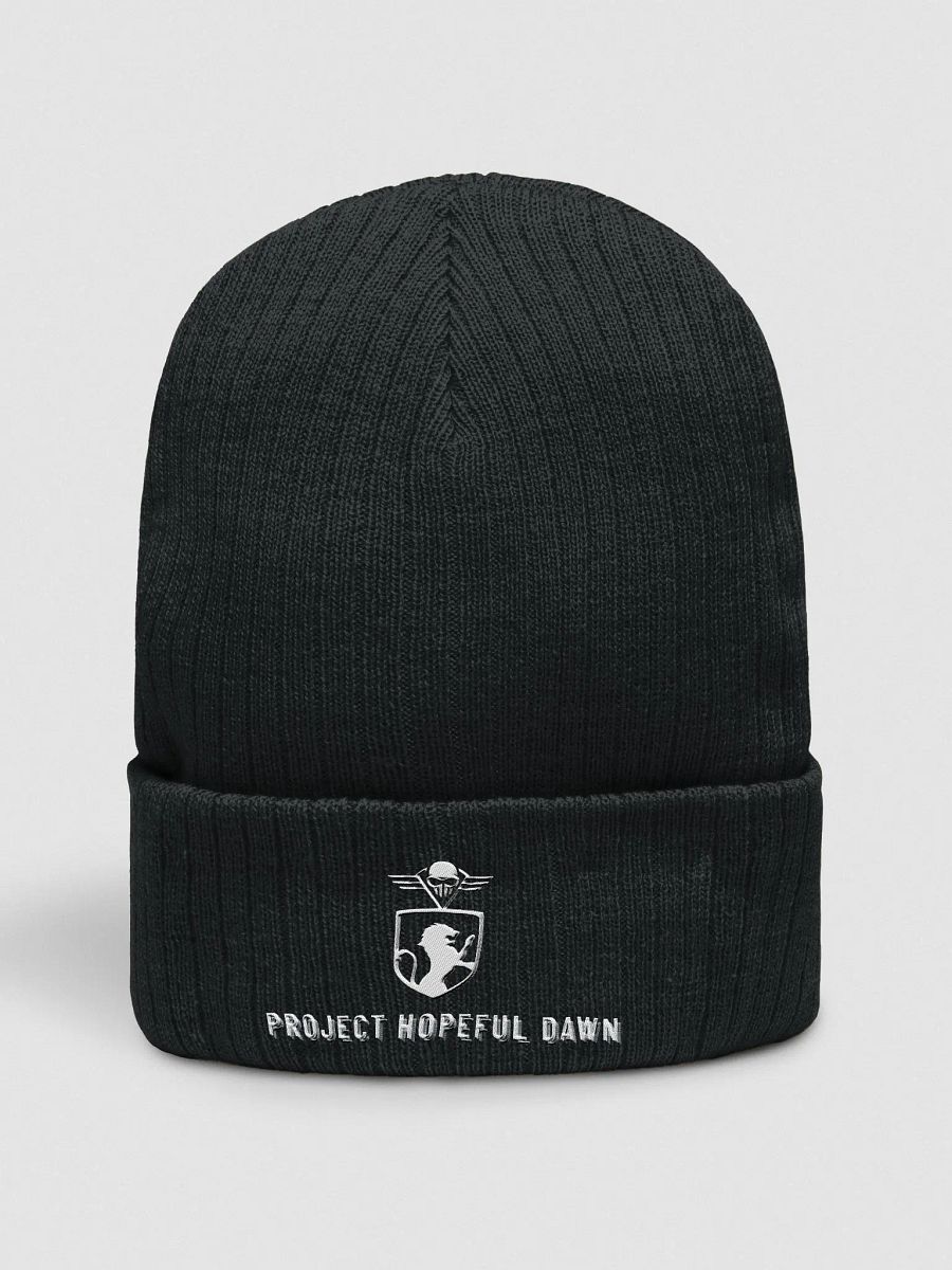 Hopeful Dawn Crowned Beanie GEN II product image (1)