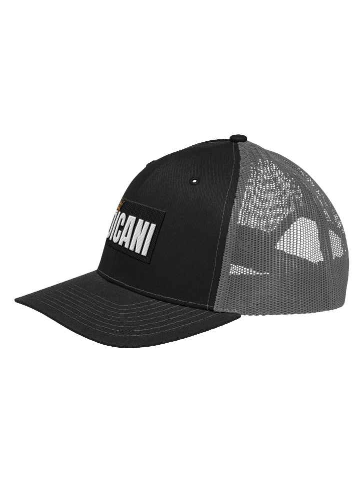 Crowned OICANI Snapback product image (12)