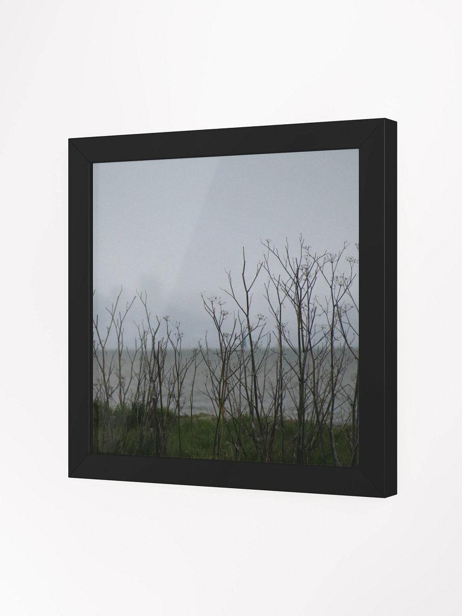 Fog Fennel product image (15)