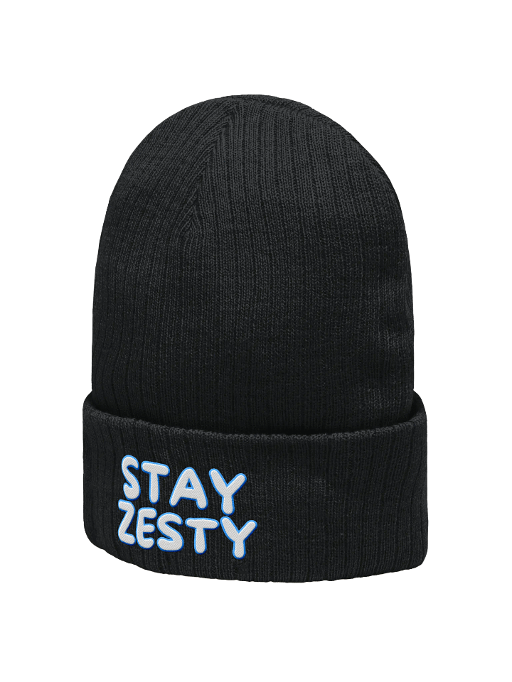Stay Zesty - Cuffed Relaxed-Fit Beanie product image (2)