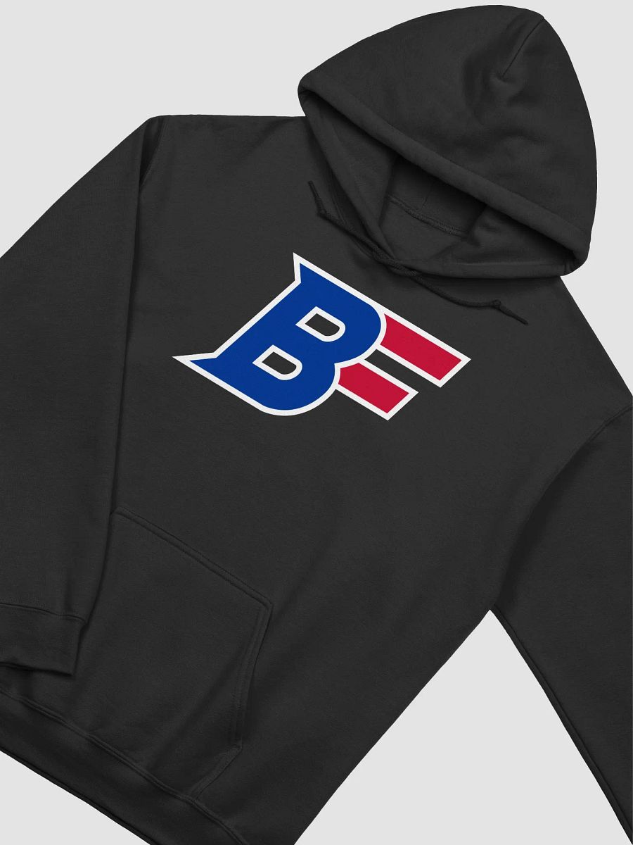 BF Logo (Hoodie) product image (3)