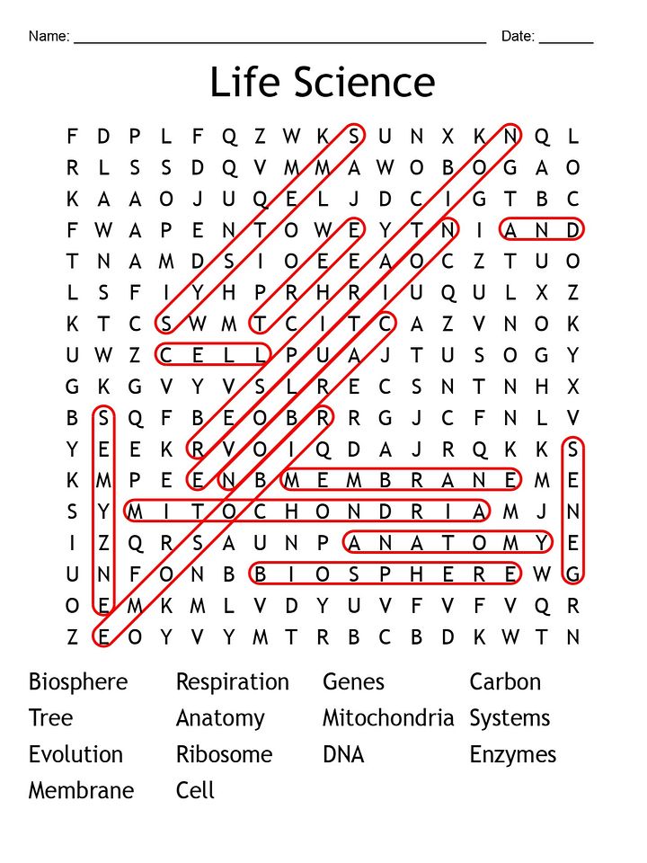 Life Science Word Search Puzzle – Fun & Educational Activity product image (1)