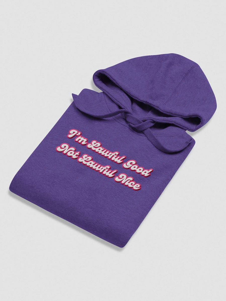 Lawful Good Hoodie product image (20)