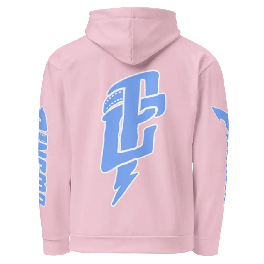 PARKWAY CINEMA "SOBER" HOODIE product image (3)
