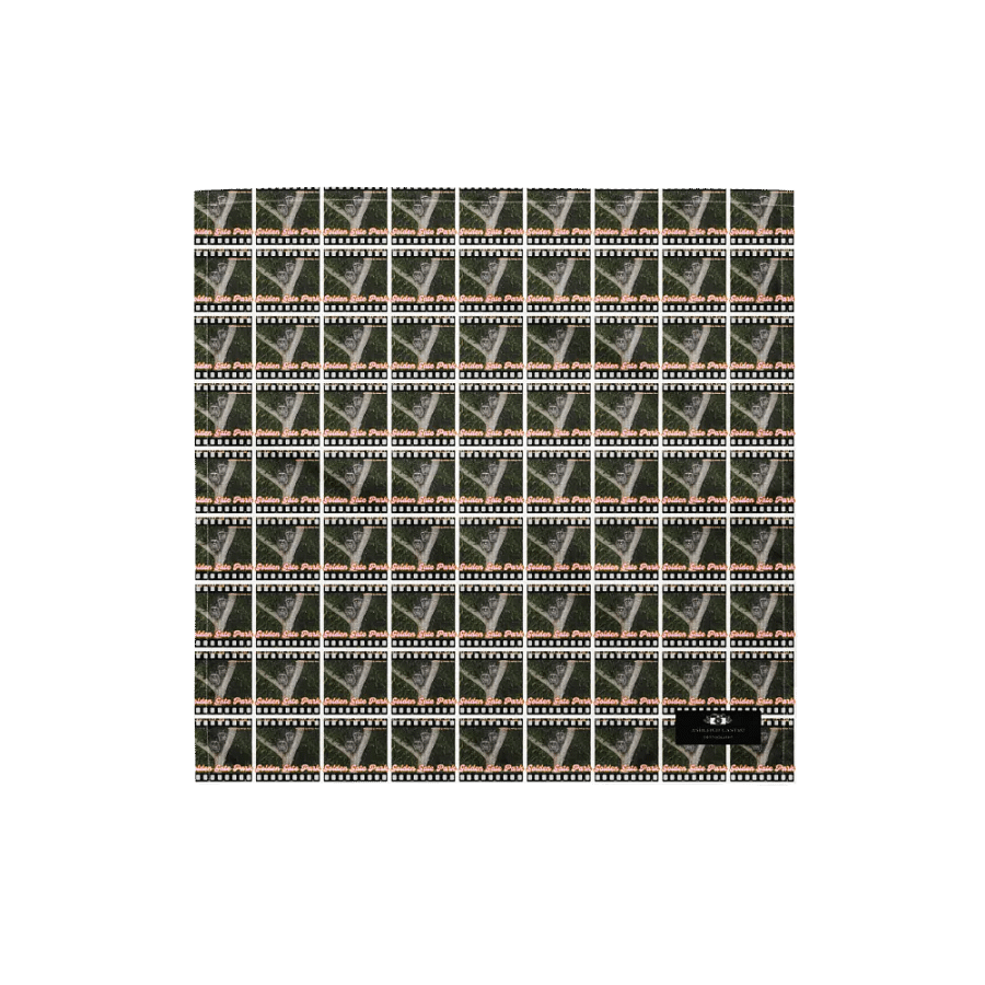 Golden Gate Park Raccoons Bandana product image (1)