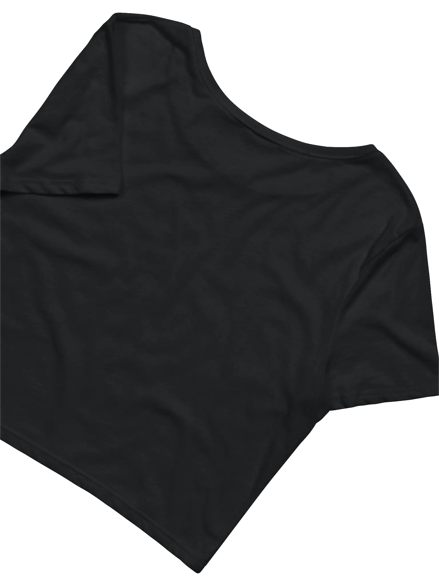 TWL Crop Tee product image (4)