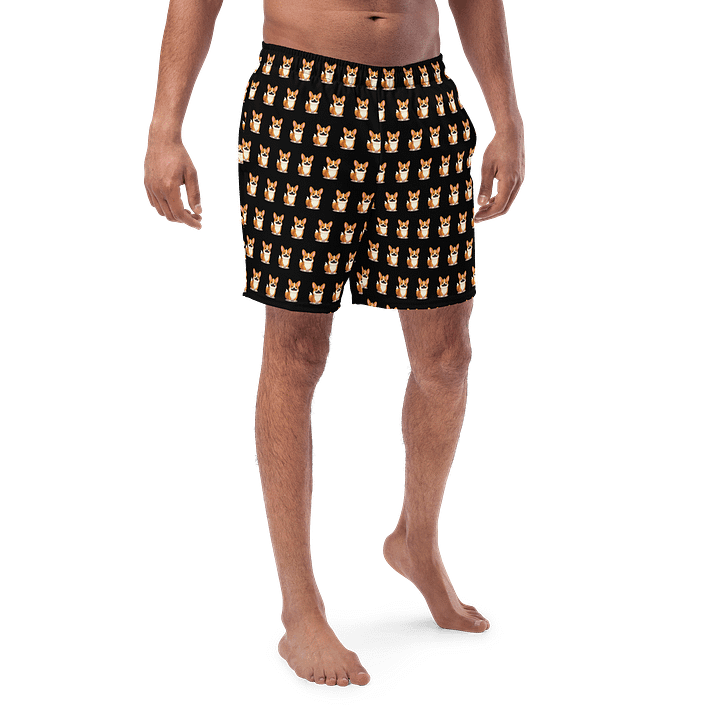 Torgi Swim Trunk Black product image (1)