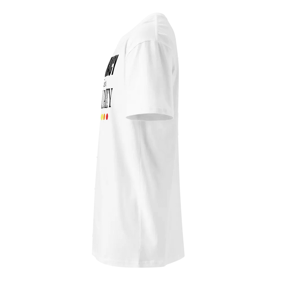 Conspiracy Leads To Spirituality - Unisex Premium T-Shirt product image (11)