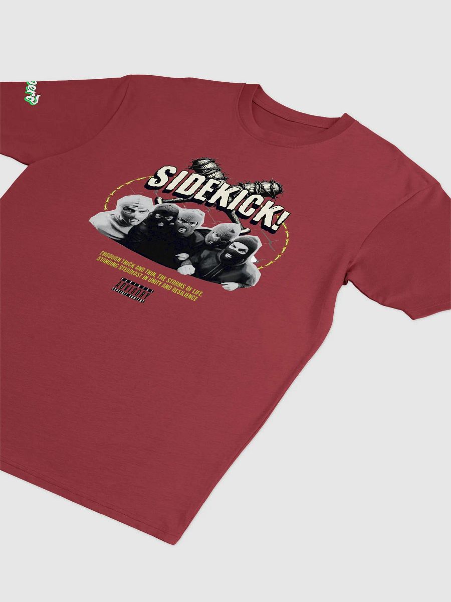 SideKick Aspero Cotton Heritage Men's Premium Heavyweight Tee product image (12)