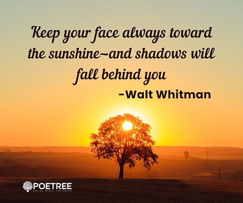 Whitman didn't just think poetry—he FELT it. He wrote about grass between his fingers, the smell of rain, the sound of Americ...