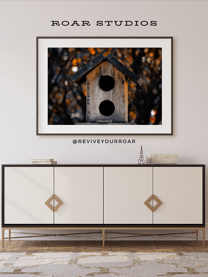 Fly Away Home. product image (1)