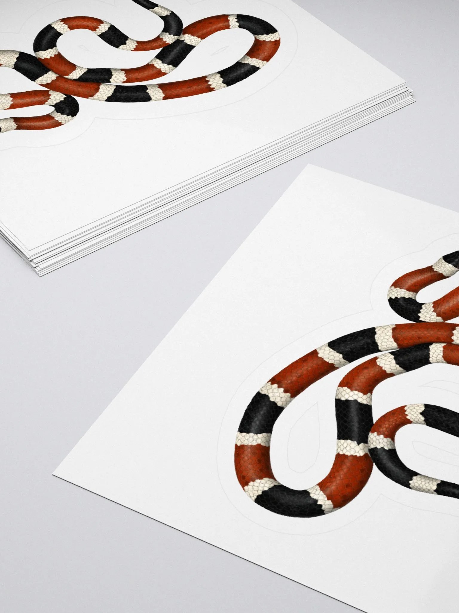 Die-Cut Sticker – Sonoran Coralsnake product image (4)