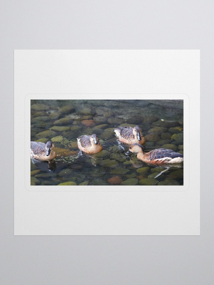 Tranquil Duck Pond Stickers product image (1)