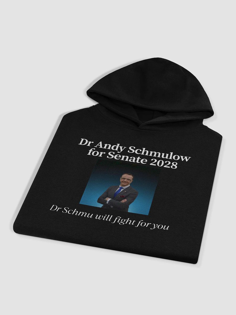 Dr Schmu will fight for you hoodie (Black) product image (3)