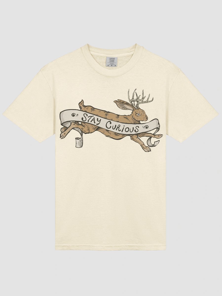 Stay Curious TEE product image (3)