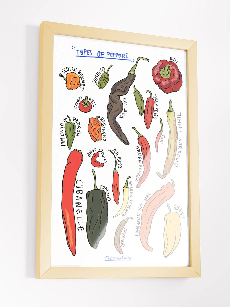 Types of Peppers Framed Poster product image (3)