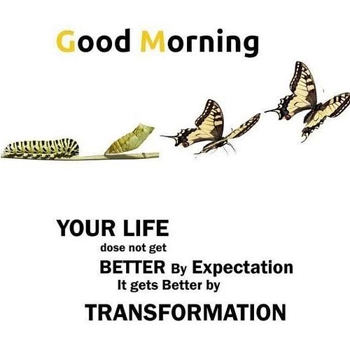 https://go.socialgood.inc/?adj_redirect=https%3A%2F%2Fsocialgood.inc%2Fapp%2F1%2F&adj_t=1b70h36j&adj_deeplink_js=1&referralCo...