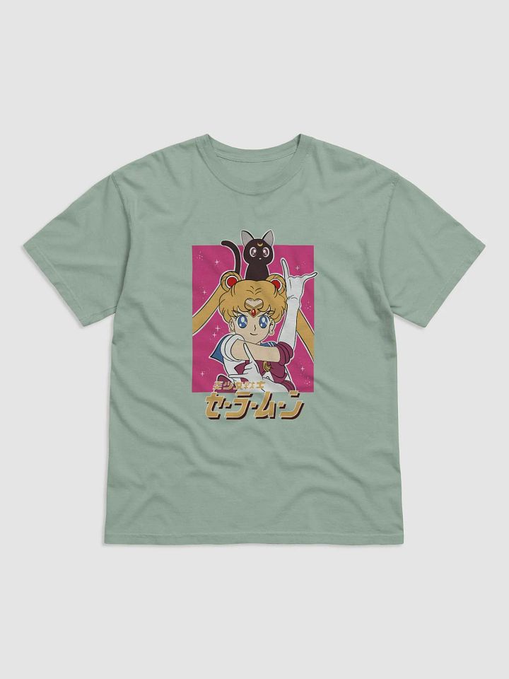 Sailor Moon and Luna Dynamic Duo product image (5)