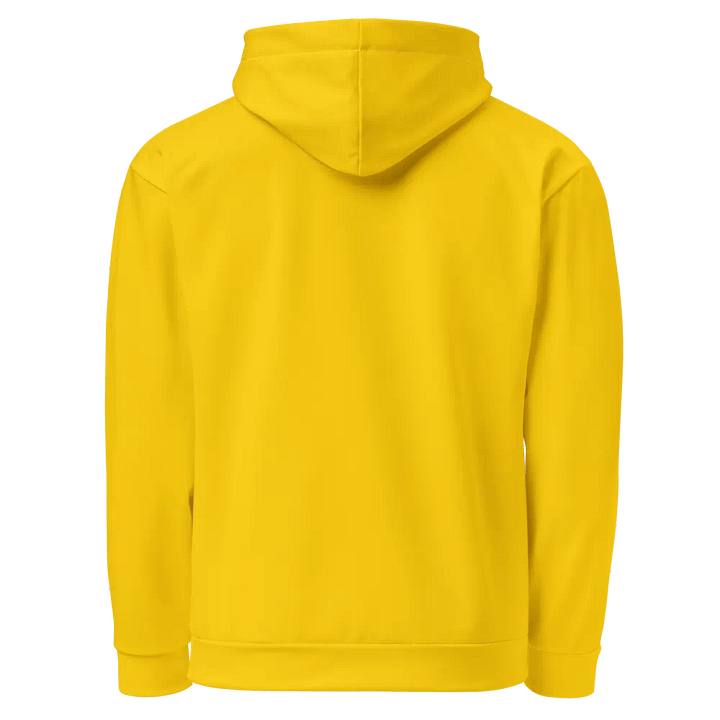 The Julien From Florida Hoodie product image (2)