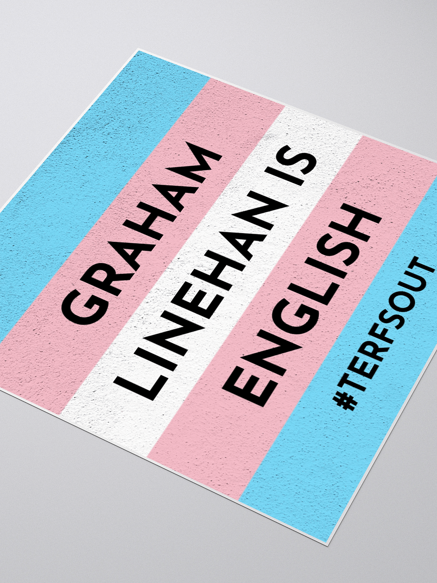 GL is English - TERFS OUTS sticker product image (8)