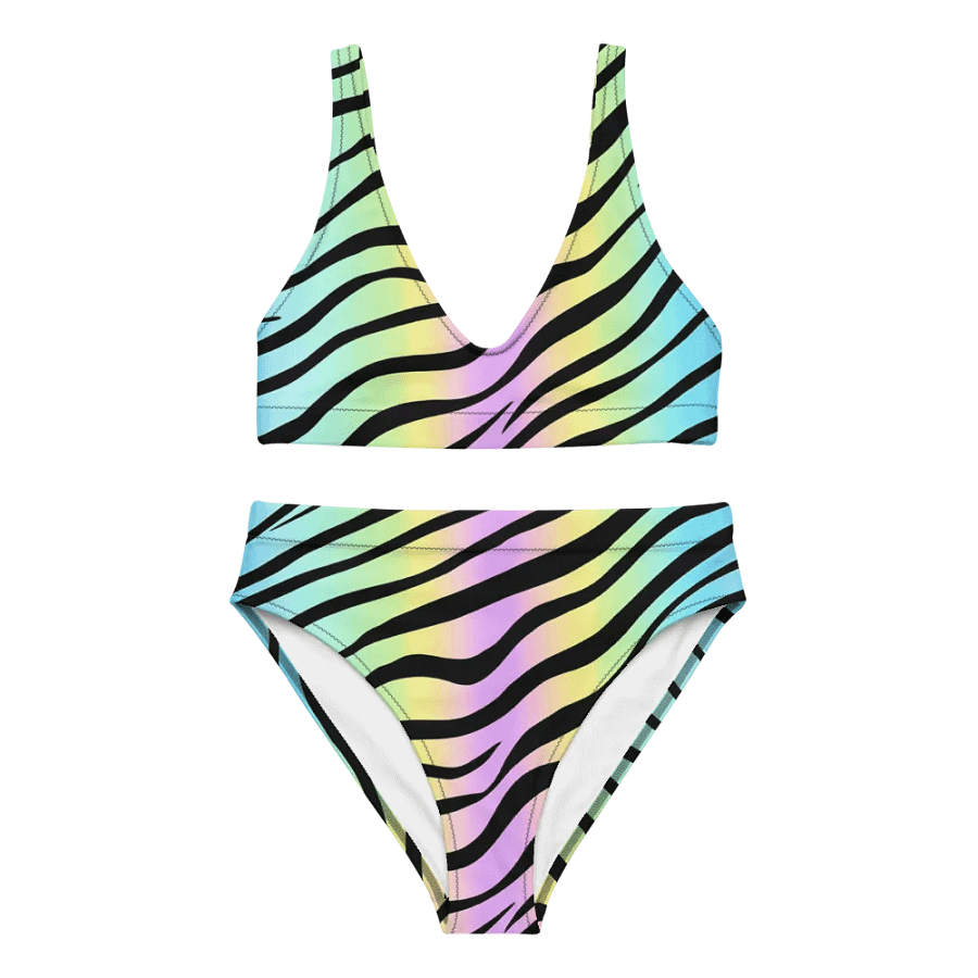 Pink Zebra Bikini product image (8)