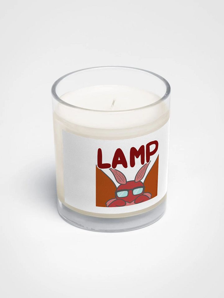 The original LAMP product image (2)