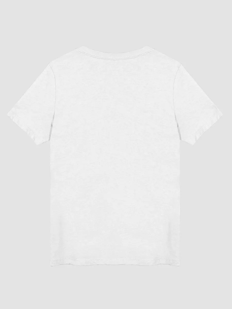 The Gulf Of Mexico Estd 1550 V-Neck TShirt product image (2)