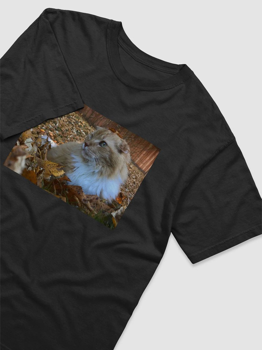 Autumn Boy Tee product image (13)
