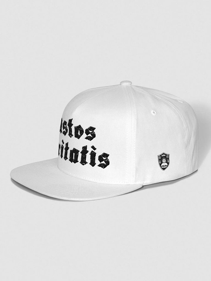 Ink Abyss Snapback Cap product image (7)