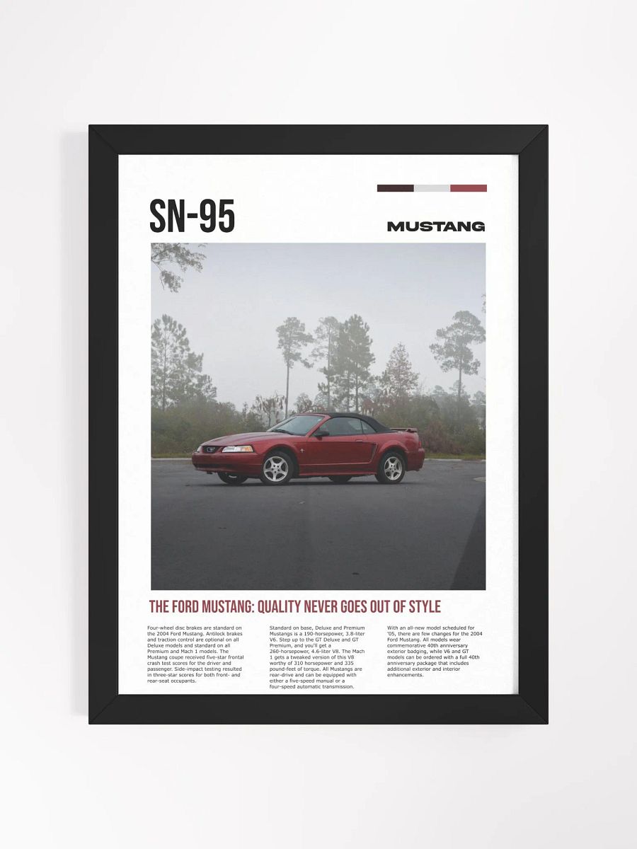 SN-95 framed poster product image (1)
