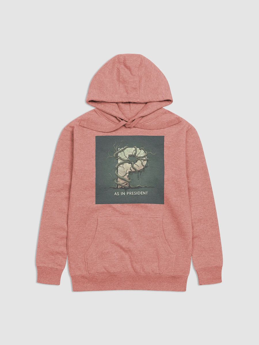 P as in president hoodie product image (23)