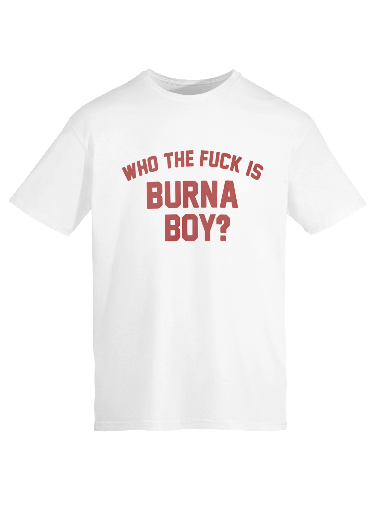 Who the Fuck is Burna Boy? T-Shirt product image (6)