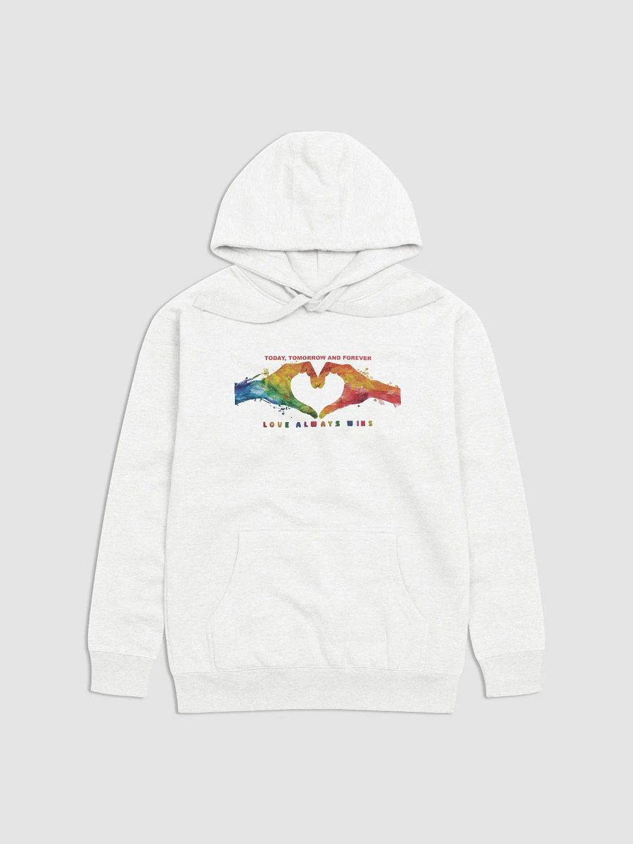 Love Always Wins Hoodie product image (9)