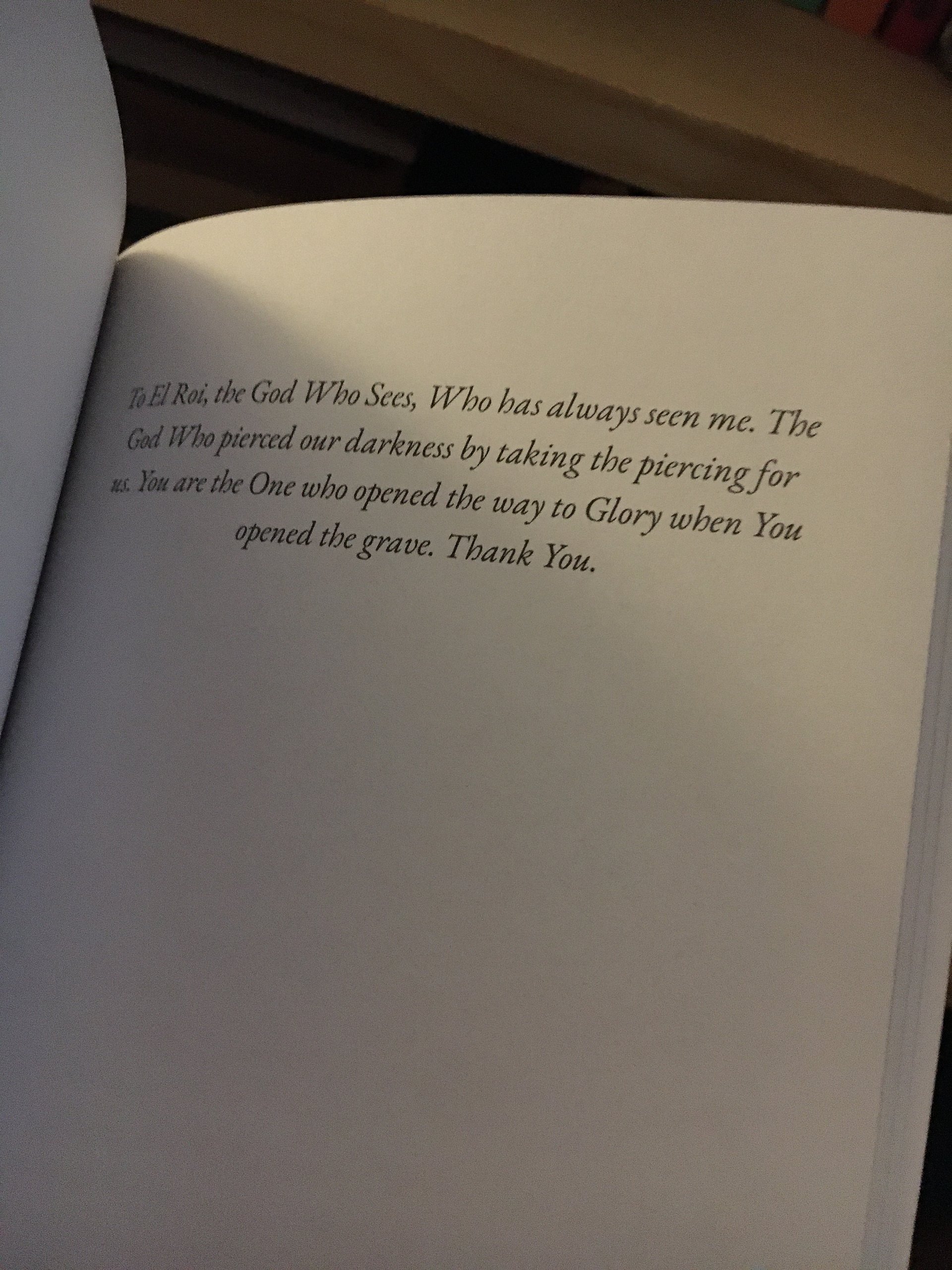 Illuminate the Dark (Signed Paperback) product image (6)