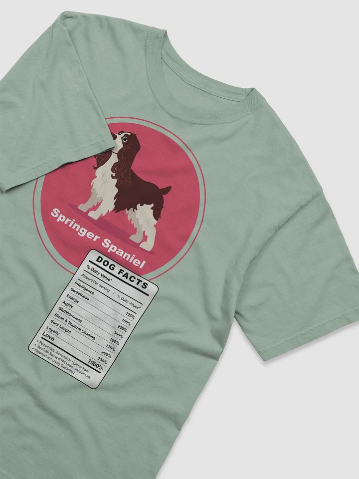 Springer Spaniel Dog Facts product image (6)
