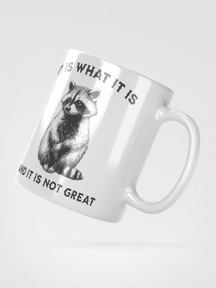Raccoon It Is What It Is Mug product image (2)