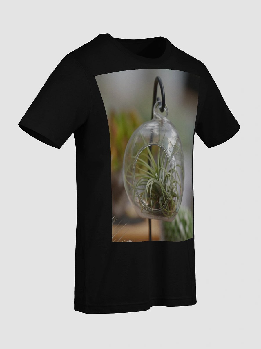 Suspended Air Plant Terrarium product image (9)