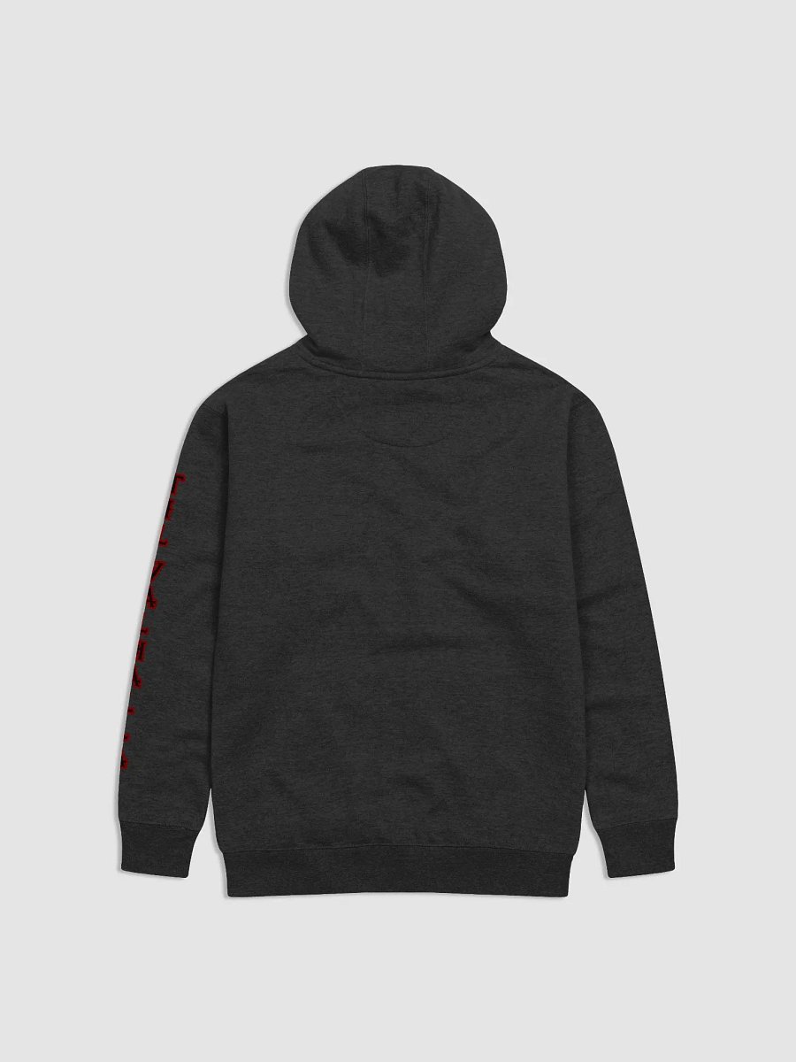 BBV V1 w/ Sleeve Writing product image (2)