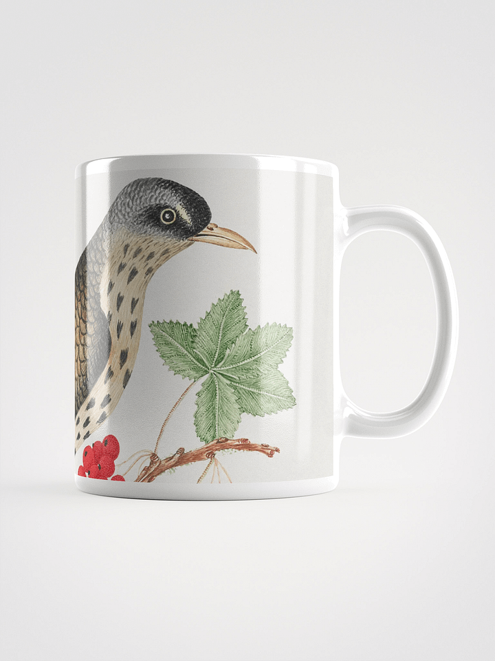 Feathered Friends Mug product image (1)