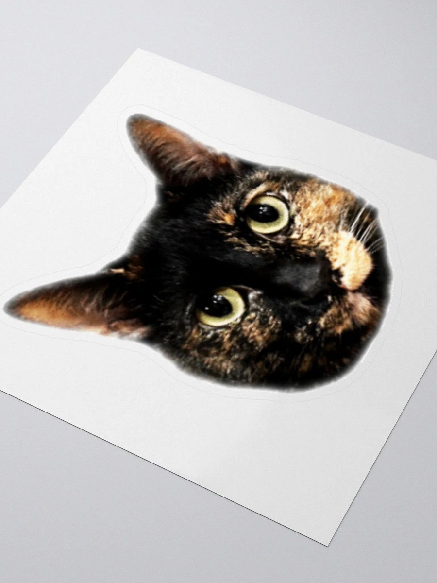 Charli Sticker product image (6)
