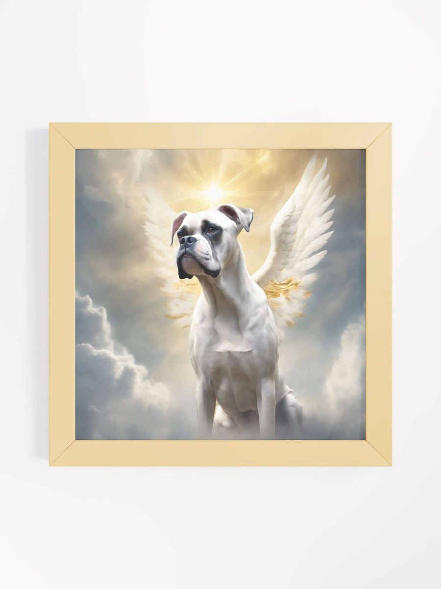 Angelic White Boxer product image (3)