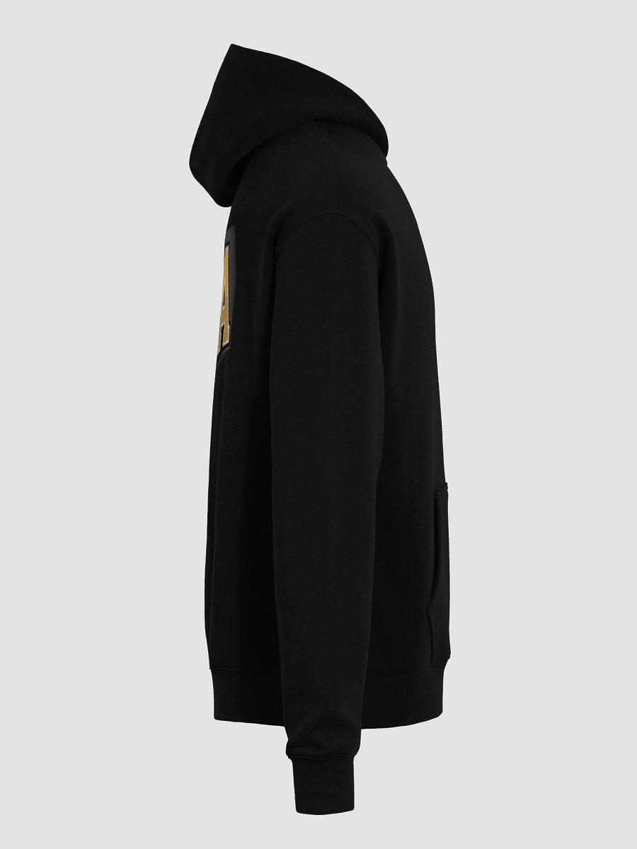 UGA Controller Chaos Hoodie product image (29)