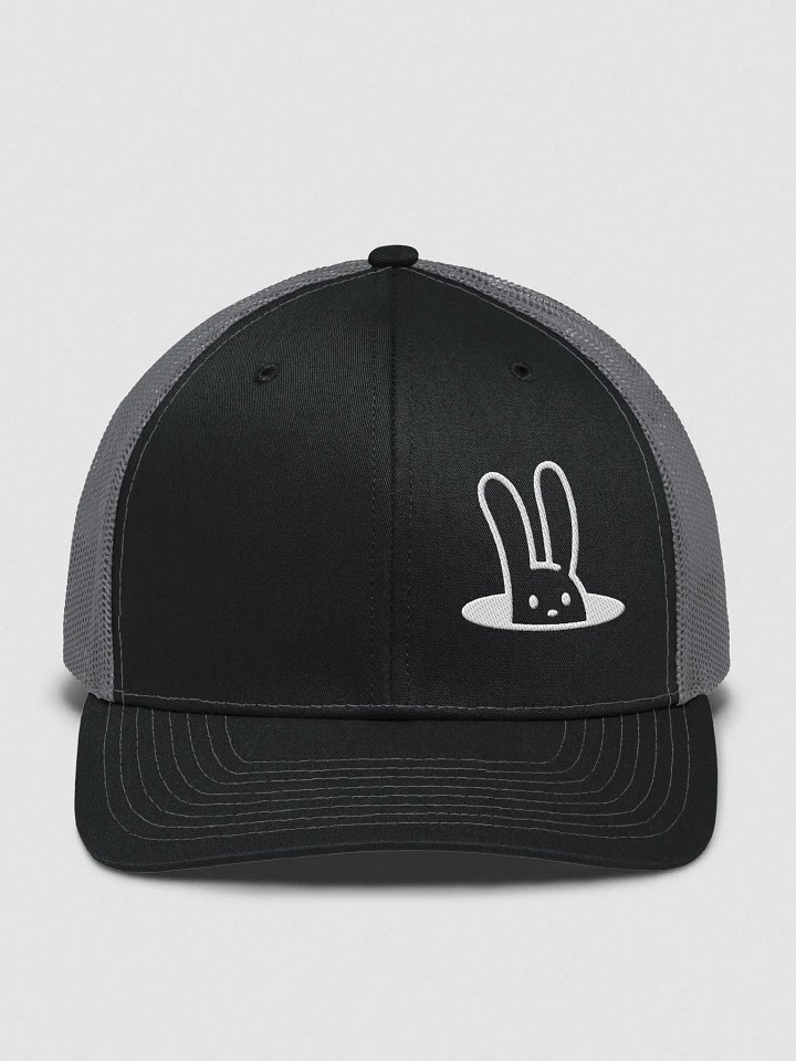 Rabbit Hole product image (1)