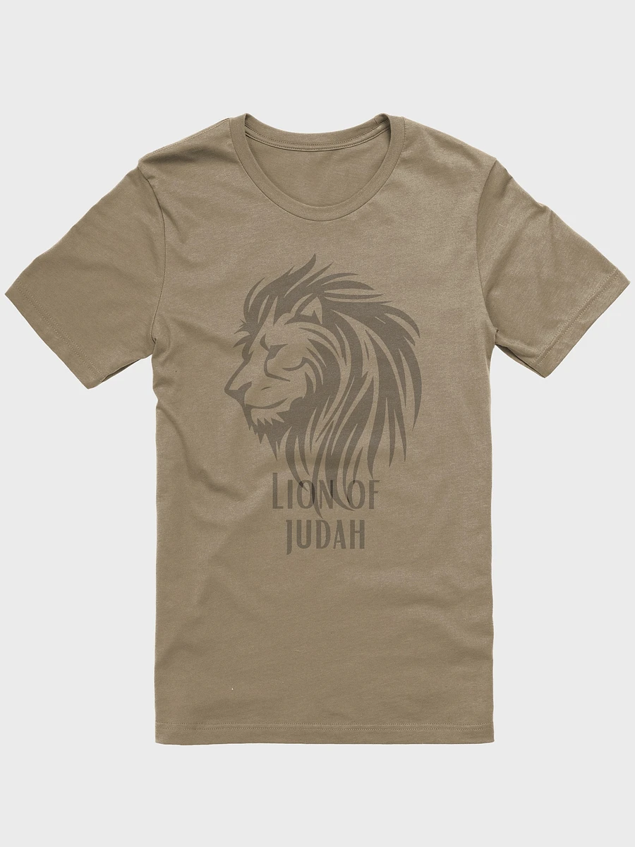 Lion of Judah product image (22)