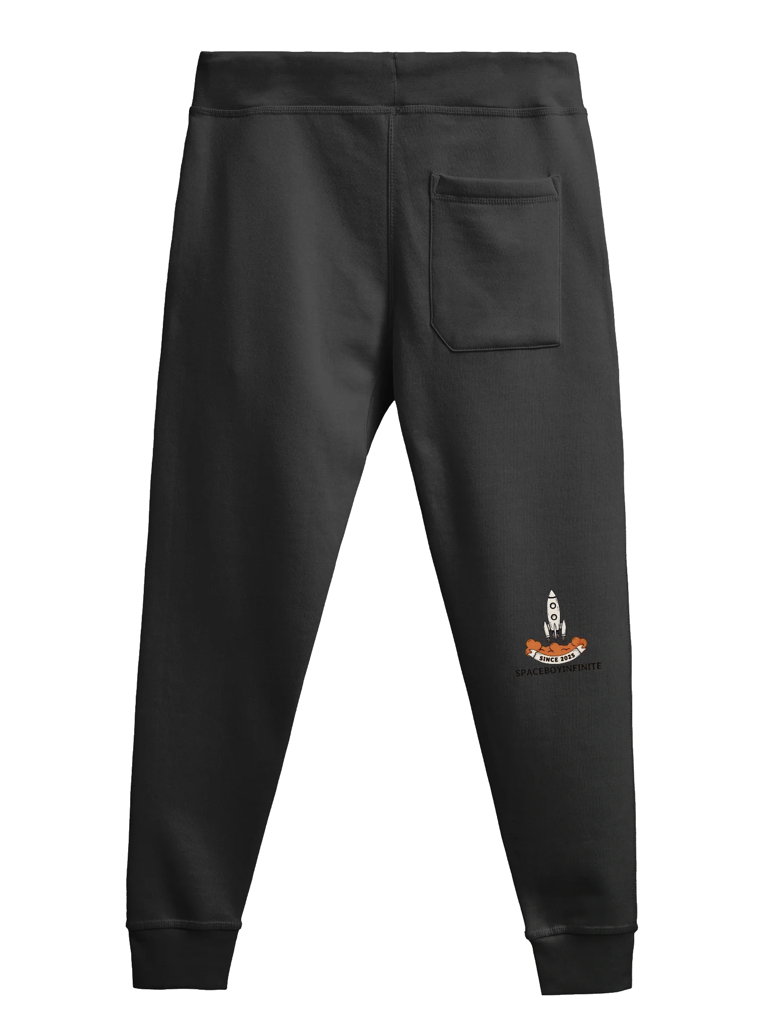 space fall joggers 2.0 product image (5)