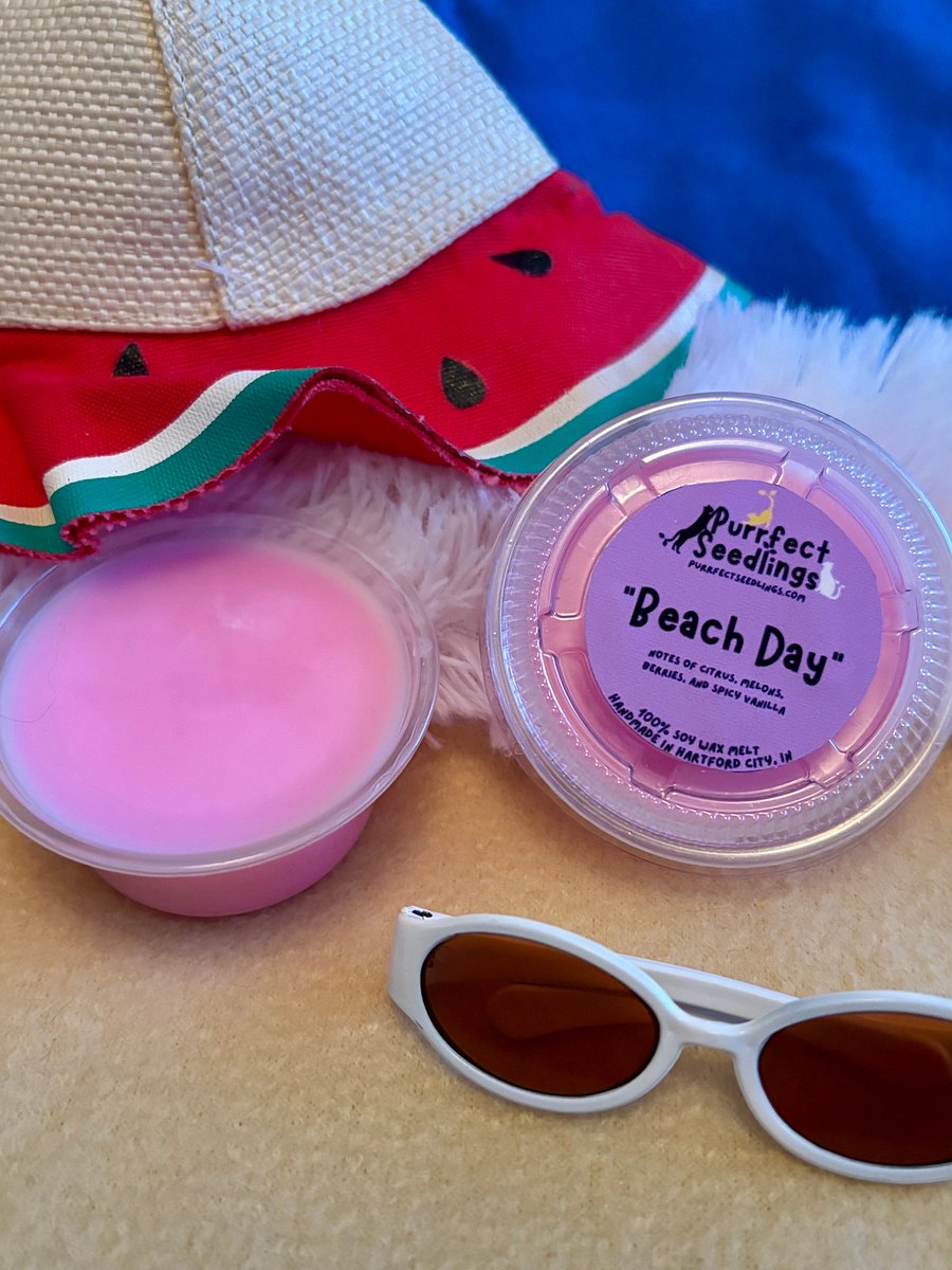 Beach Day Wax Melt (LIMITED EDITION) product image (2)