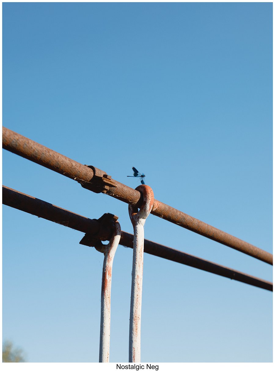 Fujify [Canon] Lightroom Profiles product image (5)