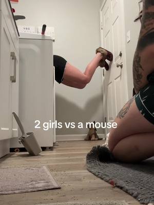 Professional pest control with @Lexx #mouse #fyp #viral 